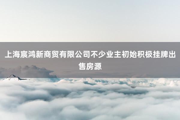 上海宸鸿新商贸有限公司不少业主初始积极挂牌出售房源